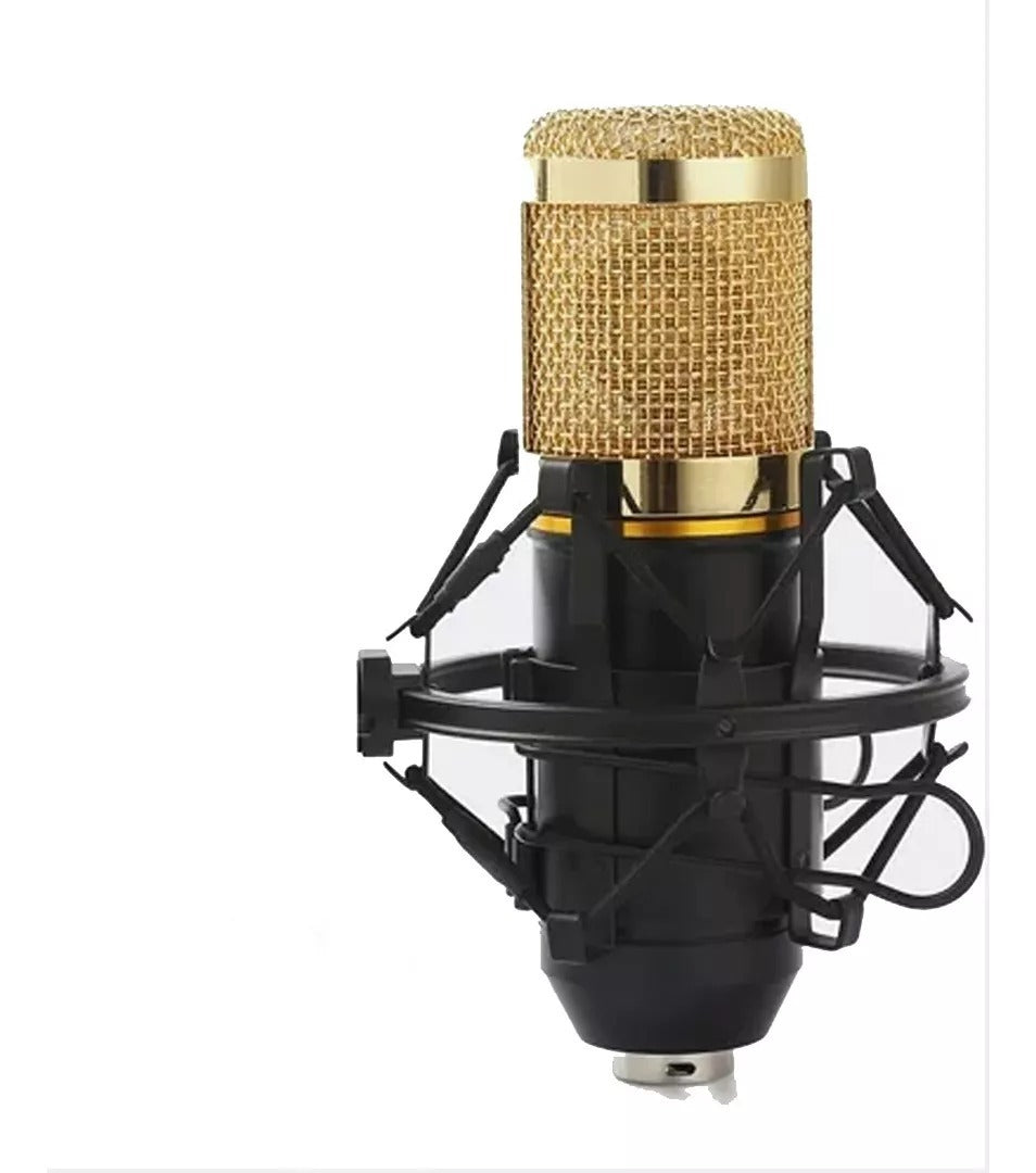 🎶MICRÓFONO CONDENSADOR PROFESIONAL BM-800: UNA EXPERIENCIA DE SONIDO CLARO Y NÍTIDO PARA GRABACIONES DE ALTA CALIDAD 🎤🔊 - GRAVIFLY CO SAS 